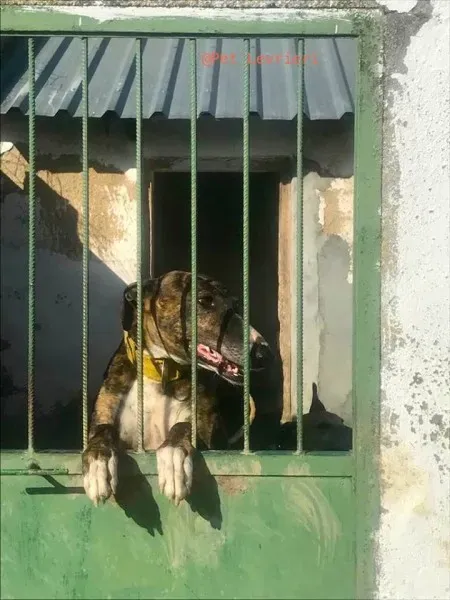 31154185 1702439743173207 2251365558131884032 n