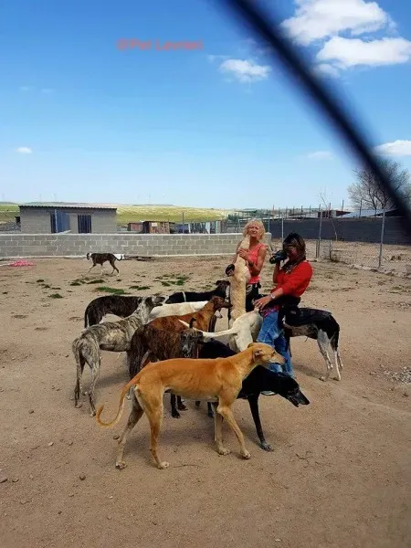 31163530 1702437603173421 586193337174720512 n