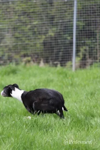 31500638 583104538728382 9106544657206083584 n