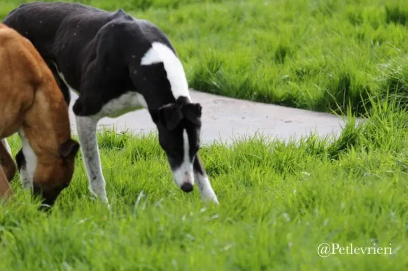 31870521 583103995395103 7506007966022107136 n