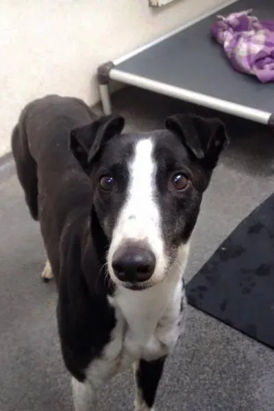 31912783 583104722061697 8865929469613834240 n