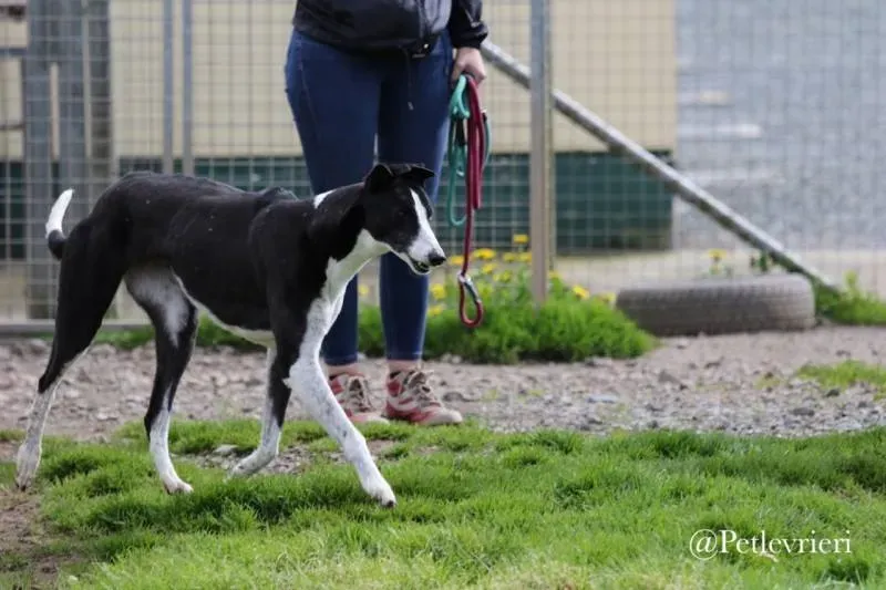 31938263 583104058728430 4629315738191003648 n