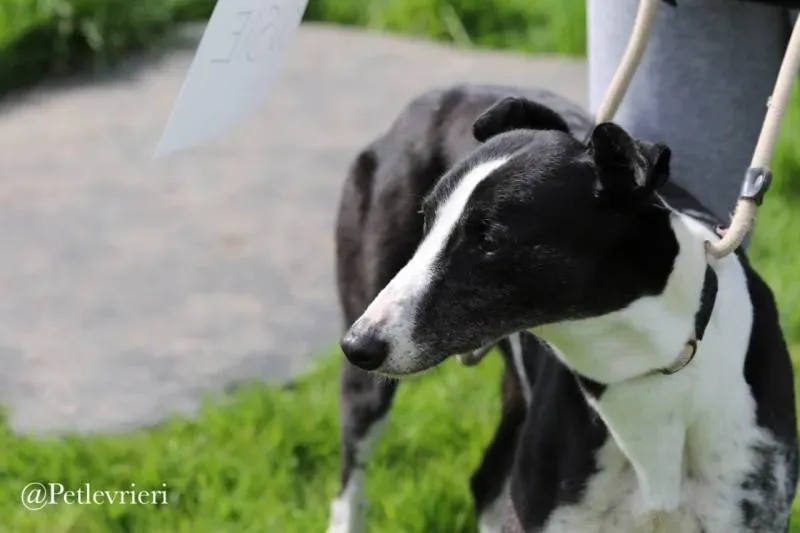 31948781 583103985395104 4900860248002134016 n