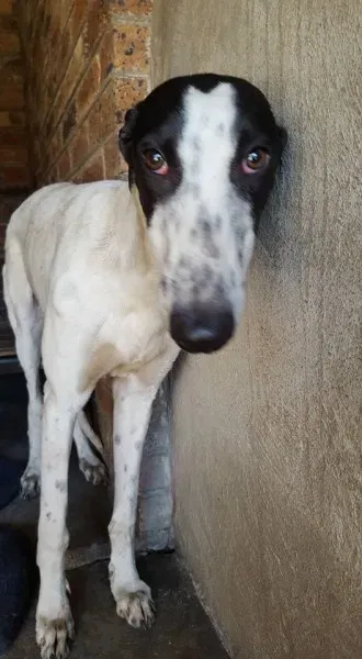 32077618 2235904066427490 7262177149300244480 n