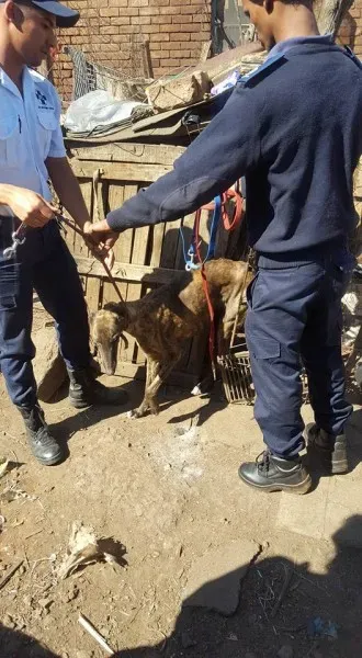 32087218 2235902919760938 268678061522681856 n