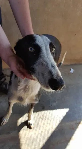 32089698 2235903933094170 1865091515383021568 n