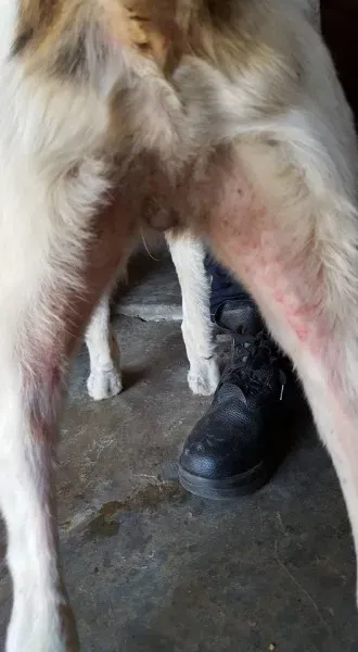 32104523 2235903589760871 6315943395260891136 n