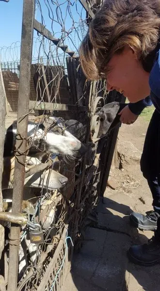 32105052 2235902269761003 2681240609926152192 n