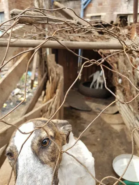 32116258 2235902539760976 1681473769329131520 n