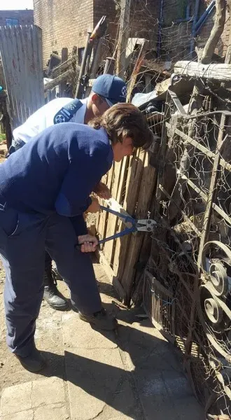 32116432 2235902376427659 6206706872091672576 n