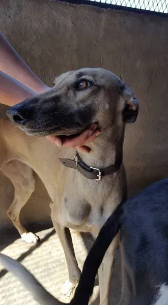 32130476 2235903776427519 3373500432218324992 n