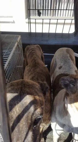 32149591 2235903093094254 8838206727028473856 n