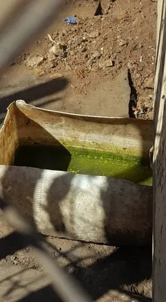 32152271 2235902859760944 5402664684765577216 n