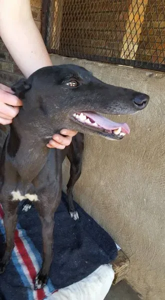 32159000 2235903846427512 4922002447854993408 n