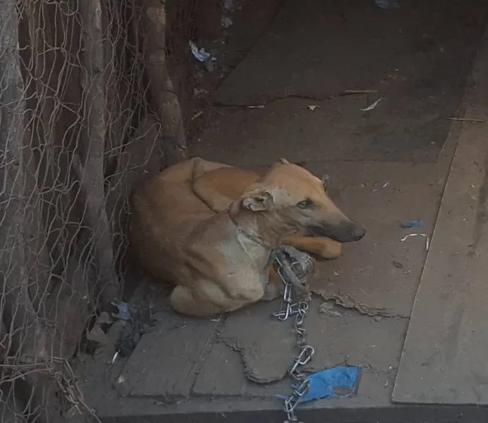 32169858 2235902129761017 5837140449692745728 n