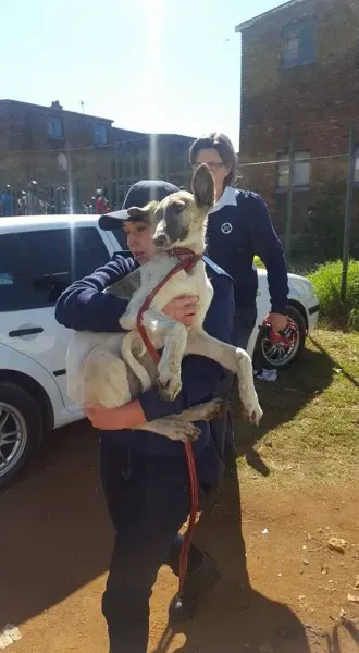 32202722 2235903006427596 8820555429349163008 n