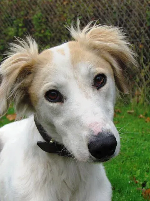 32400 495525450467992 917464951 n