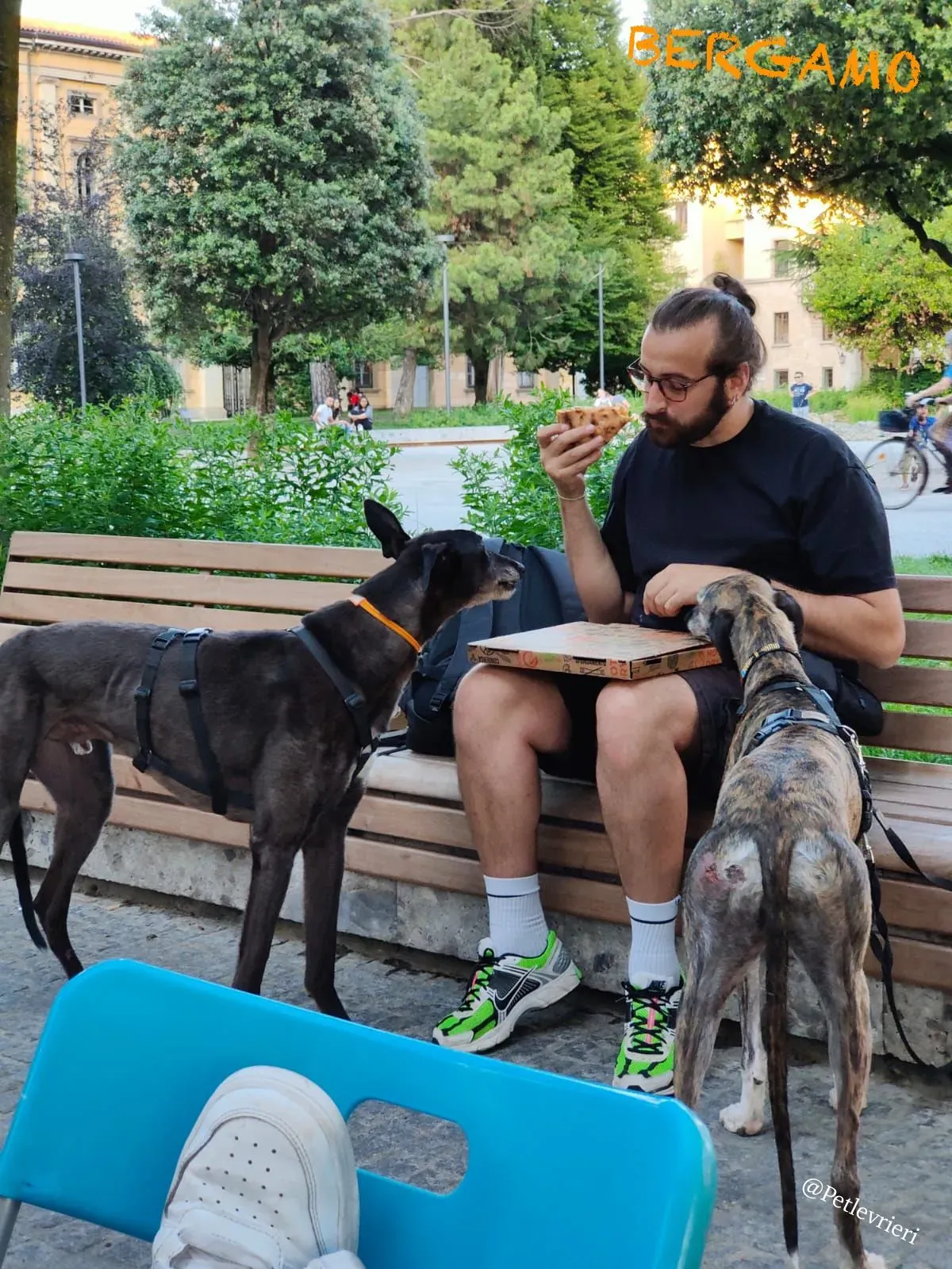 32575ad3 cfc3 4353 a47f ee20a2fbdf12 risultato