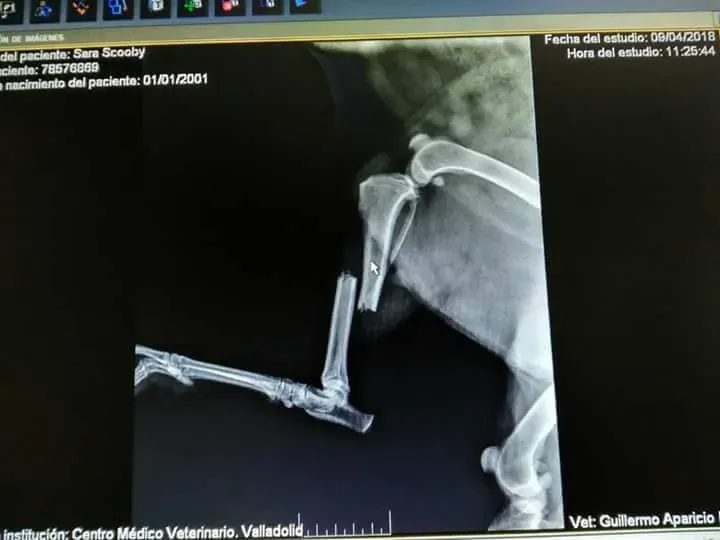 32947079 651965388478739 4012064362922508288 n