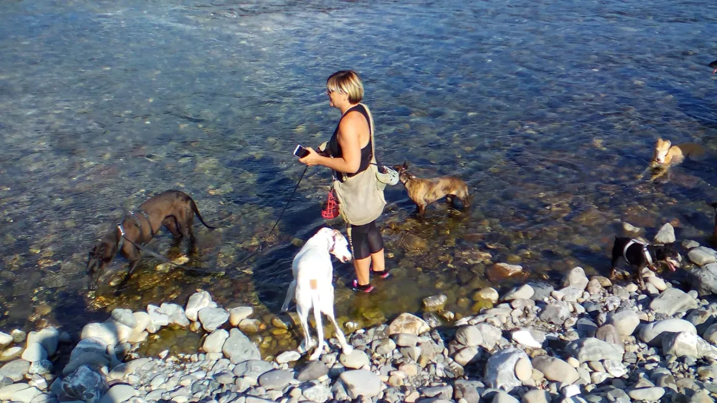 32  Rosie petlevrieri mercatodellacarne cina macao onlus