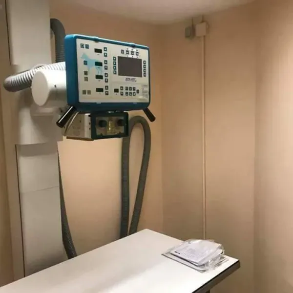 33132483 651965251812086 2512185186712551424 n