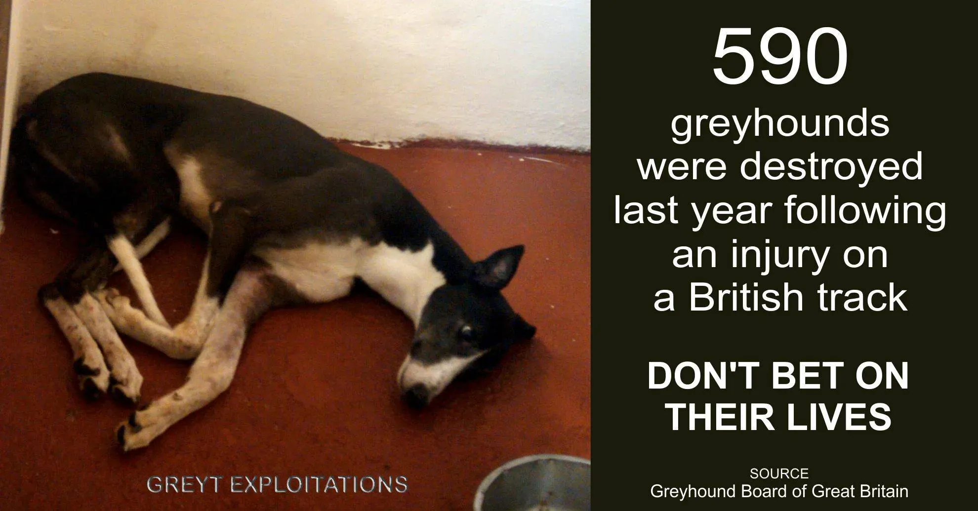 33693851 1738579626195195 8080537031014350848 o