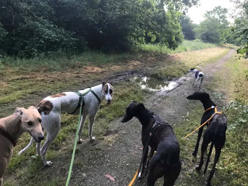 34050732 1597021917013184 139461805759004672 n