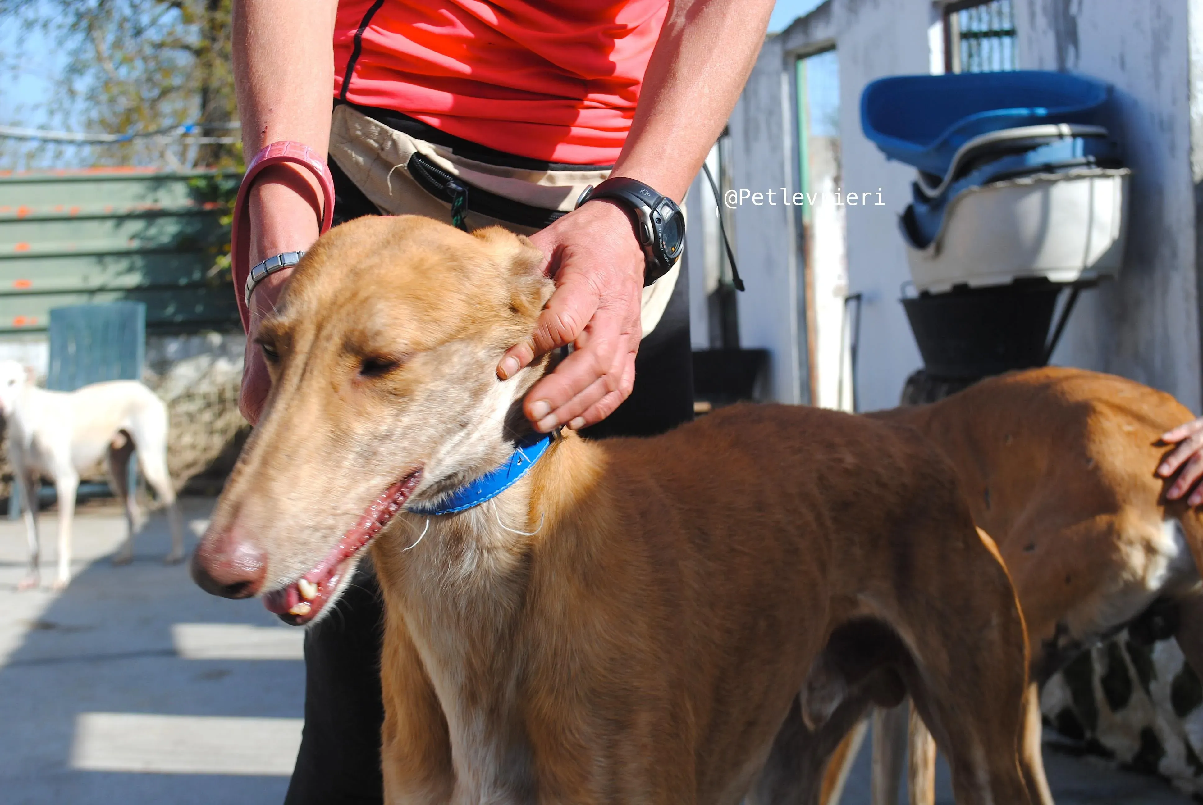 34101806 1859201324131893 4845590500008263680 n