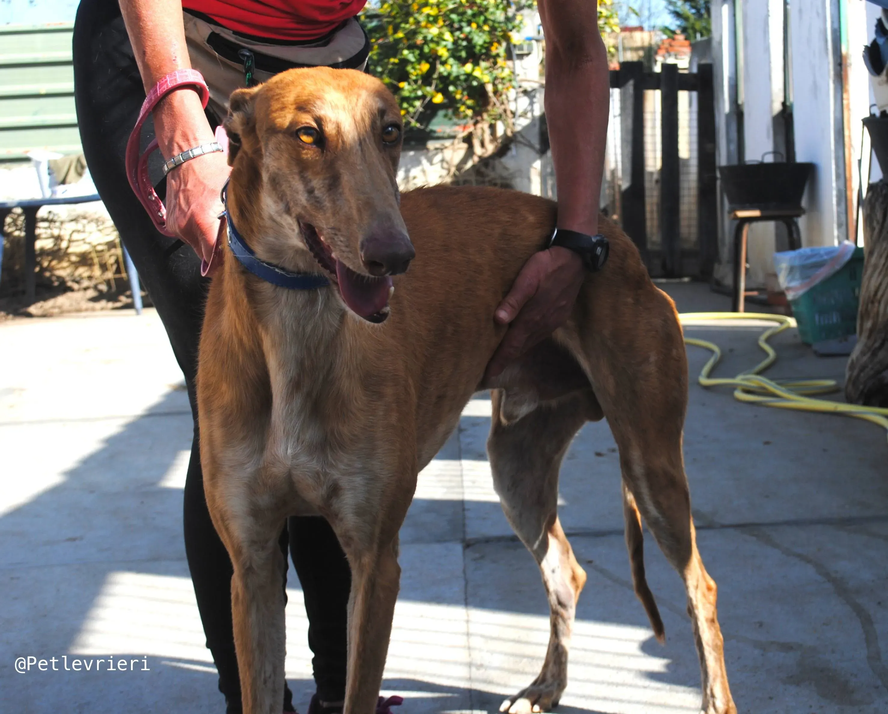 34104214 1859200640798628 3891649624724733952 n