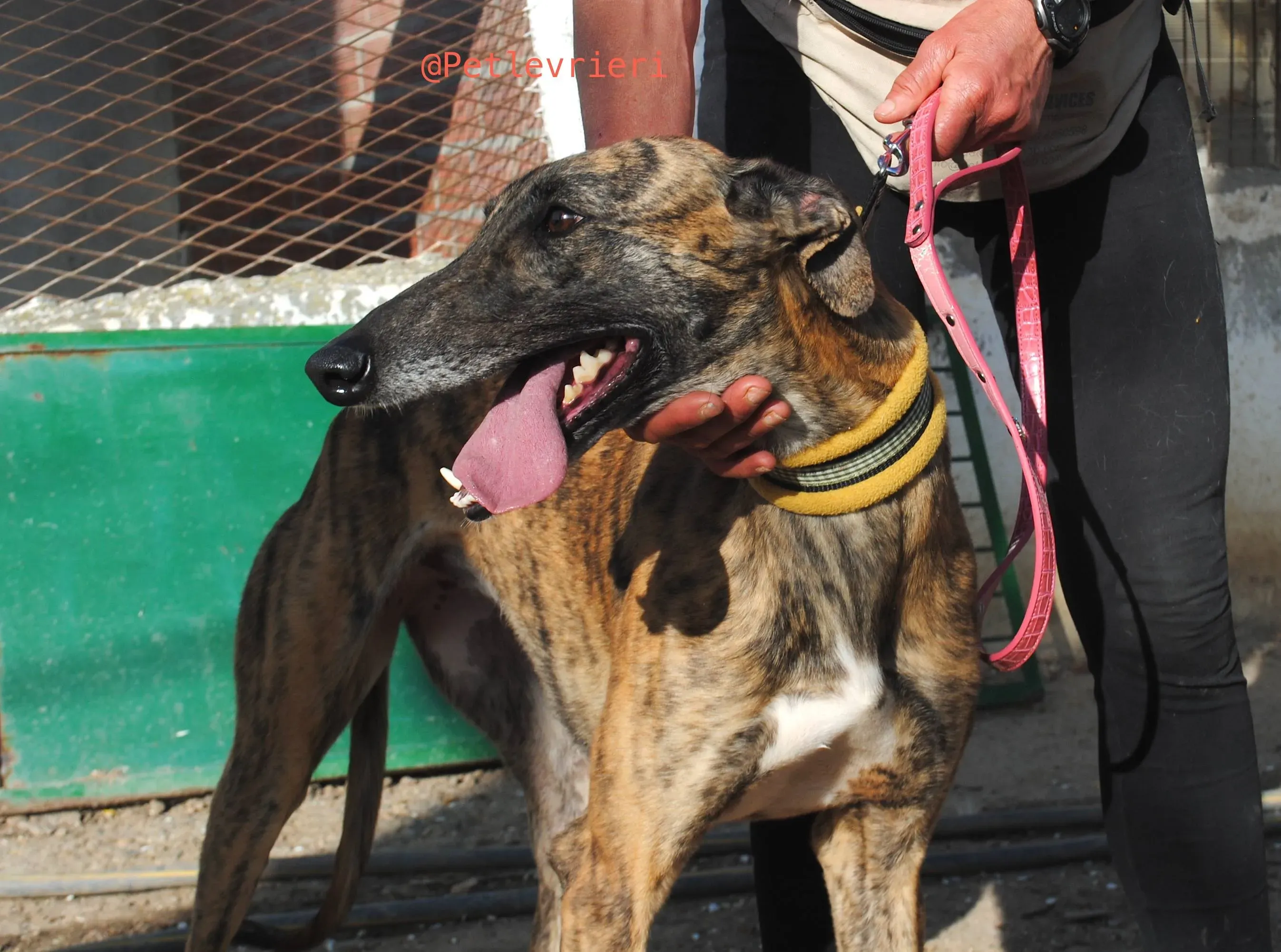 34117807 1859194694132556 3204031751546470400 n