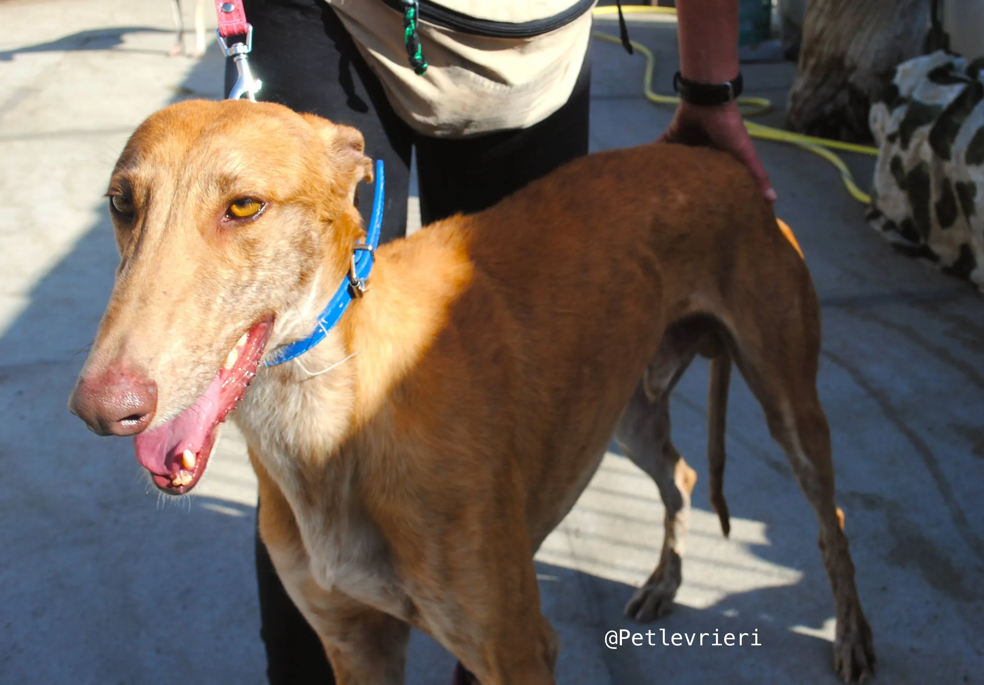 34119087 1859201450798547 1042139179758125056 n