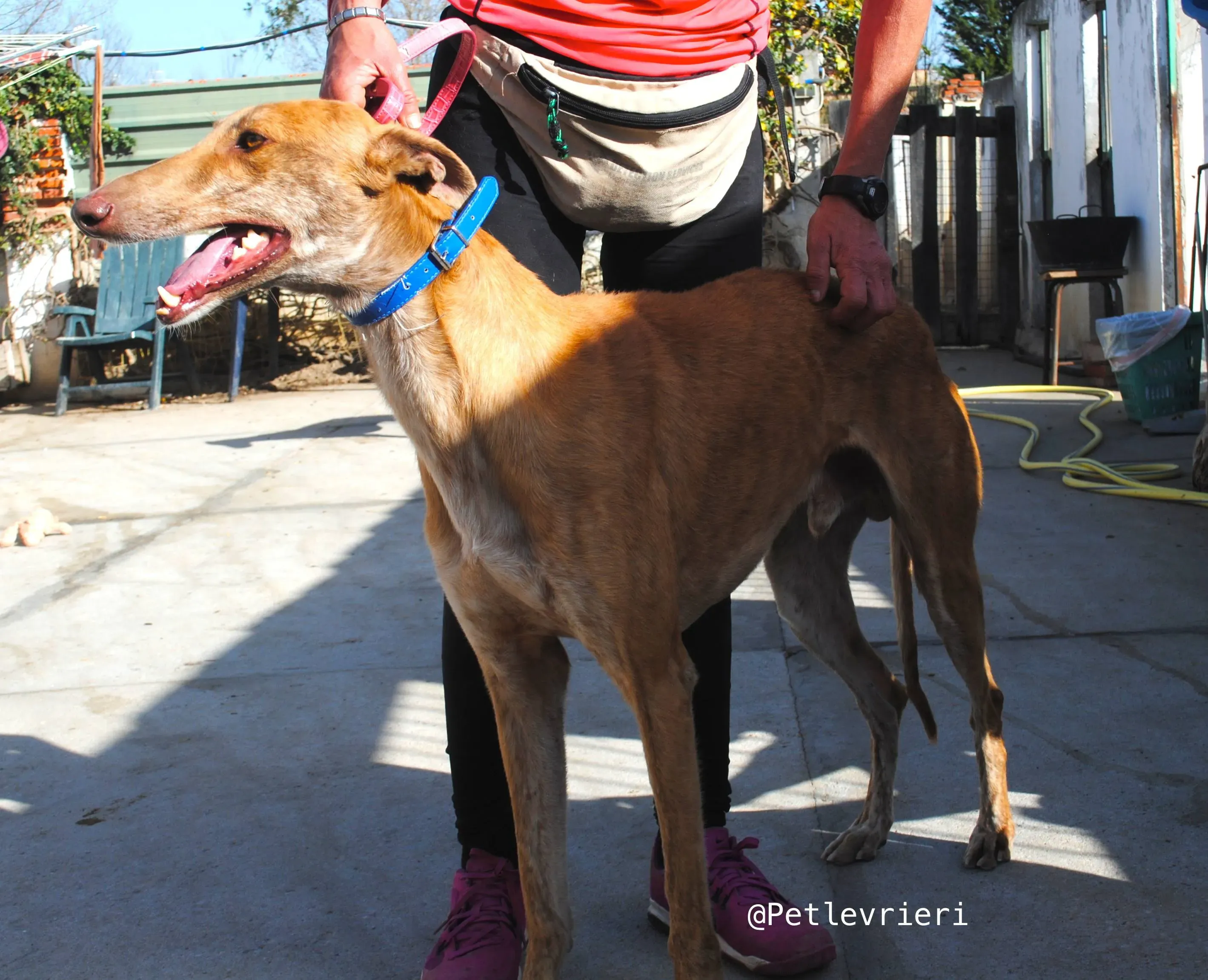 34134734 1859201690798523 3759717583830384640 n