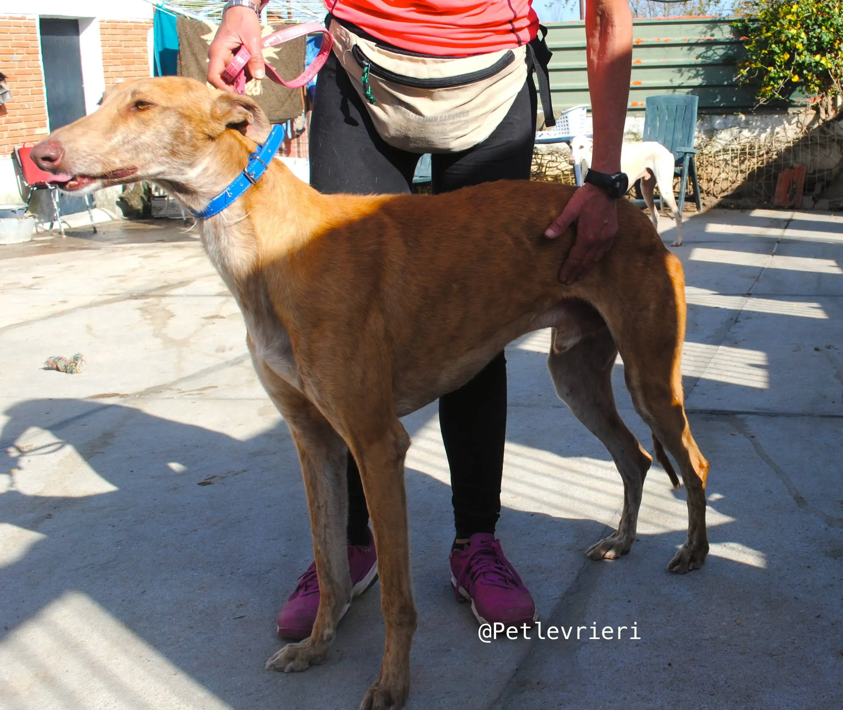 34162905 1859202007465158 617912332080644096 n