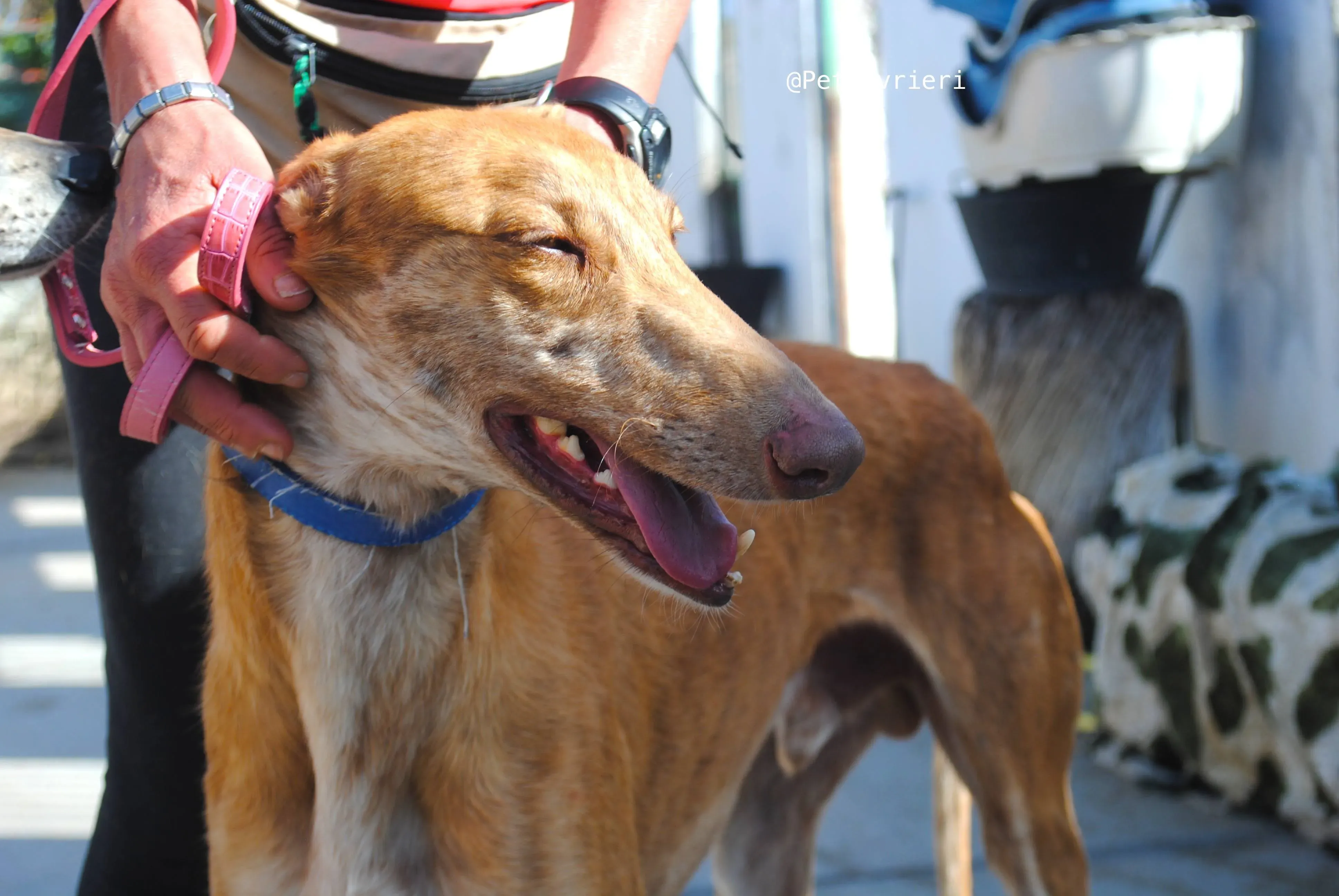 34176572 1859201137465245 2062459337242050560 n 1