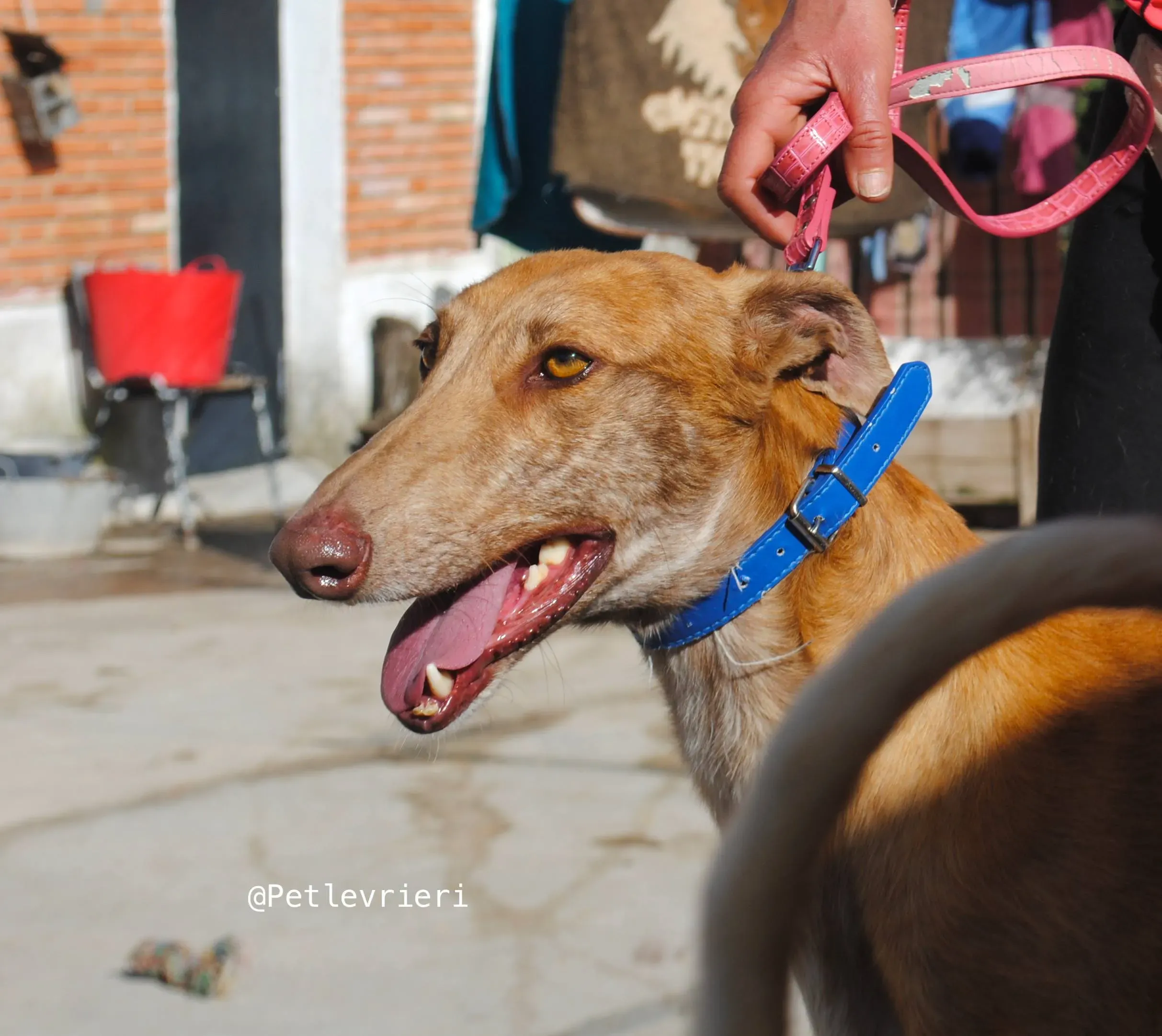 34177448 1859202484131777 247639696799170560 n