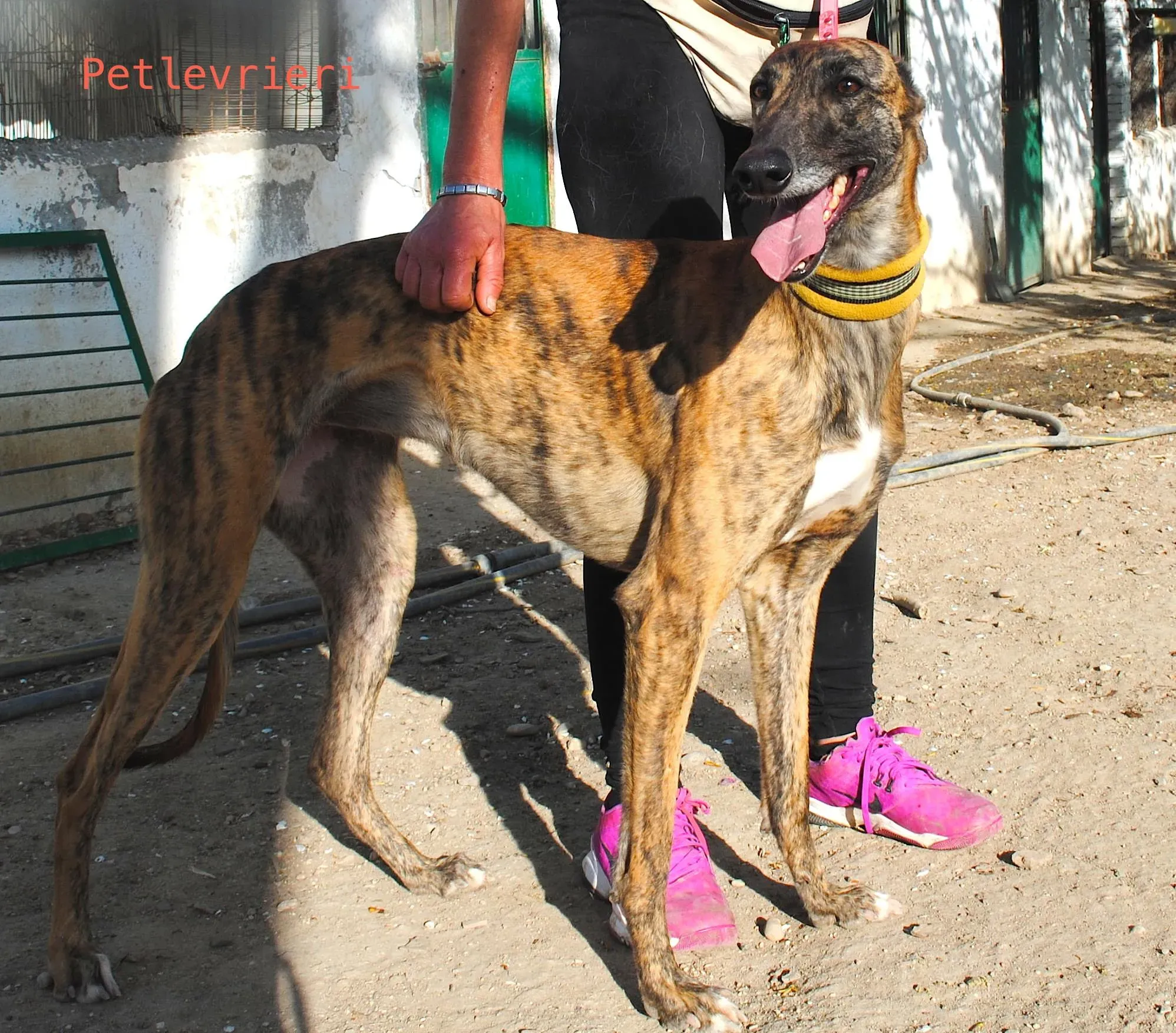 34258542 1859195647465794 1726938592317538304 n