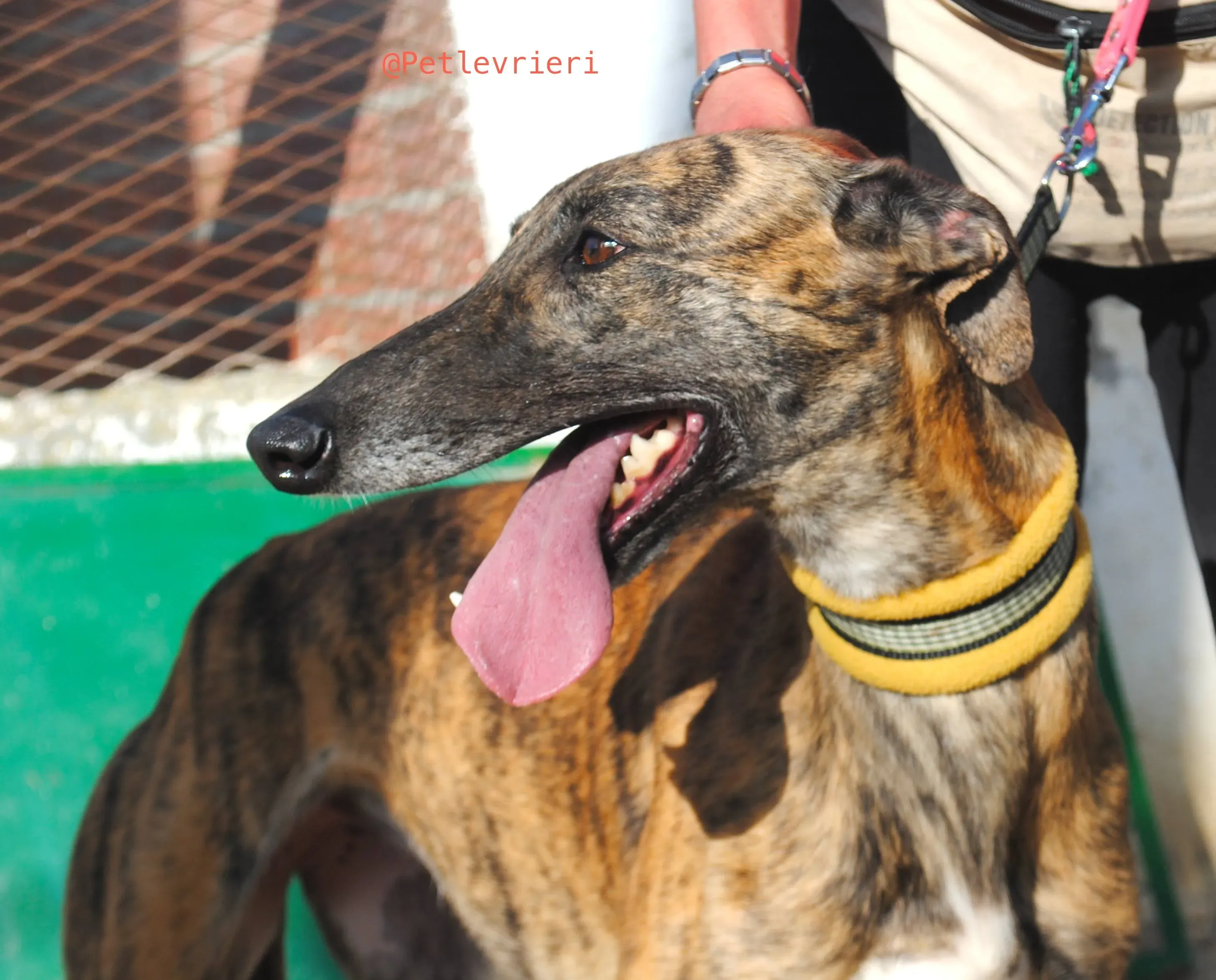 34258628 1859194987465860 9129979355982725120 n