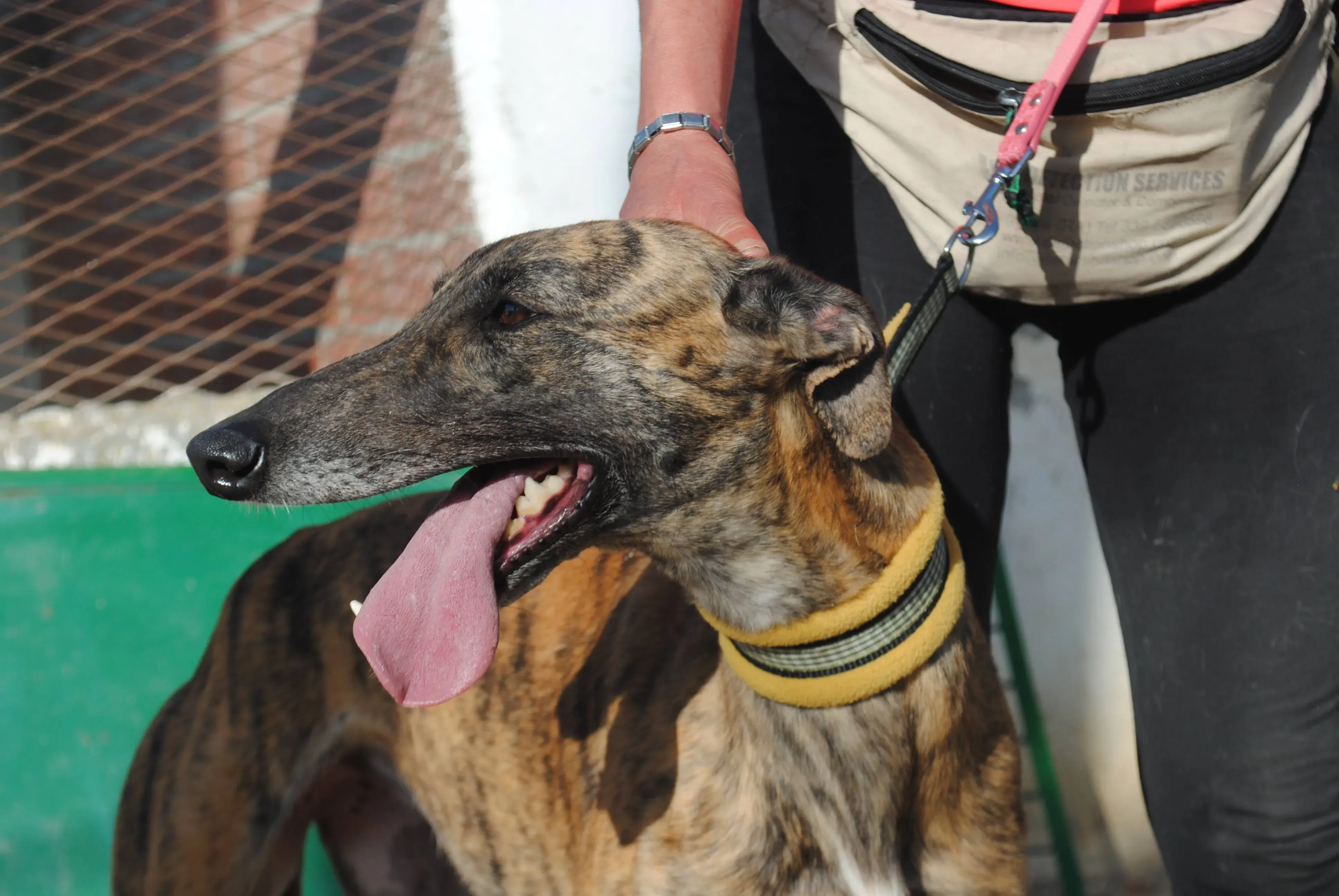 34268628 1859195207465838 4257022969336823808 n