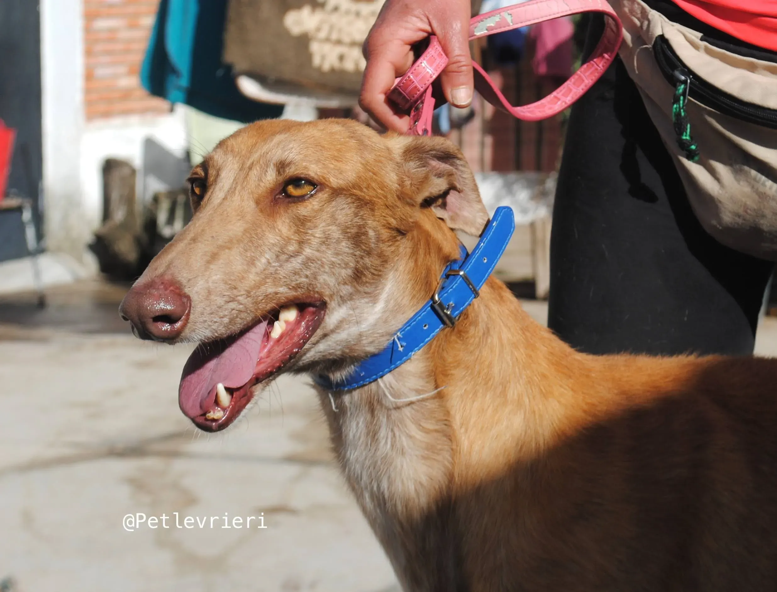 34276551 1859202234131802 2528748758154346496 n