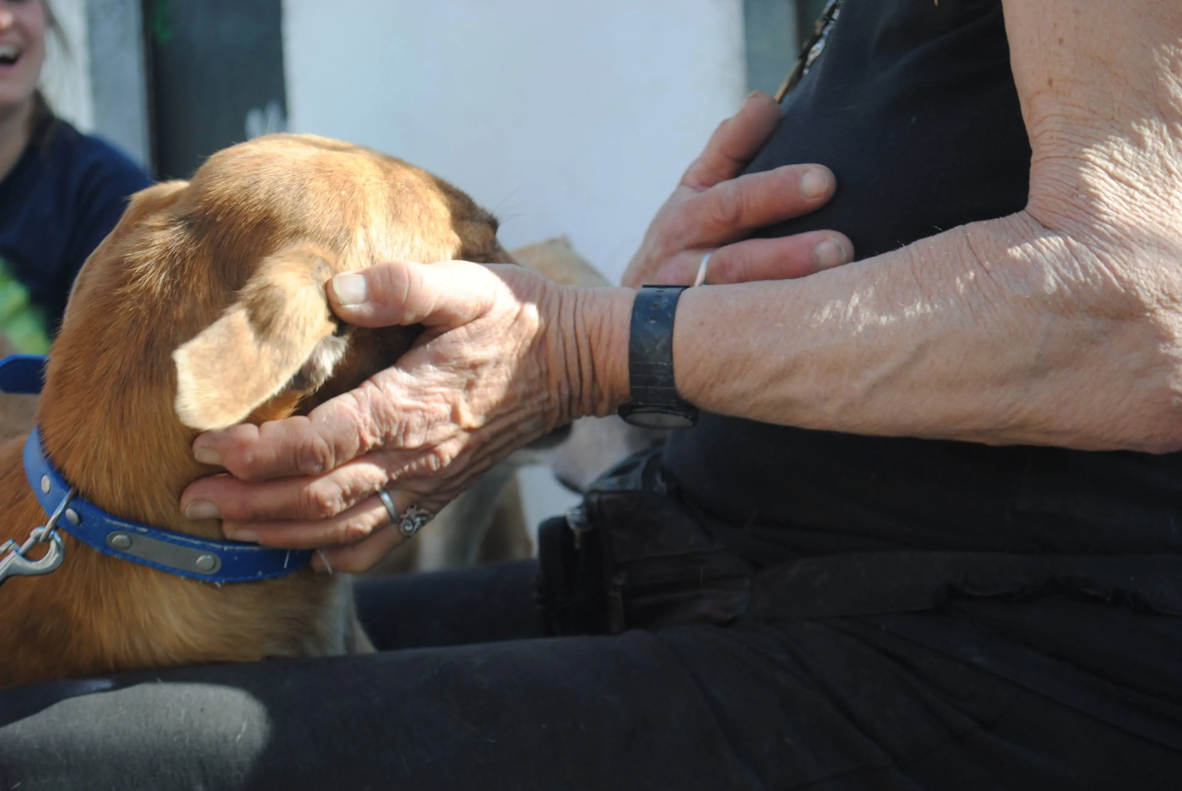 34339204 1859200410798651 6885479294483562496 n