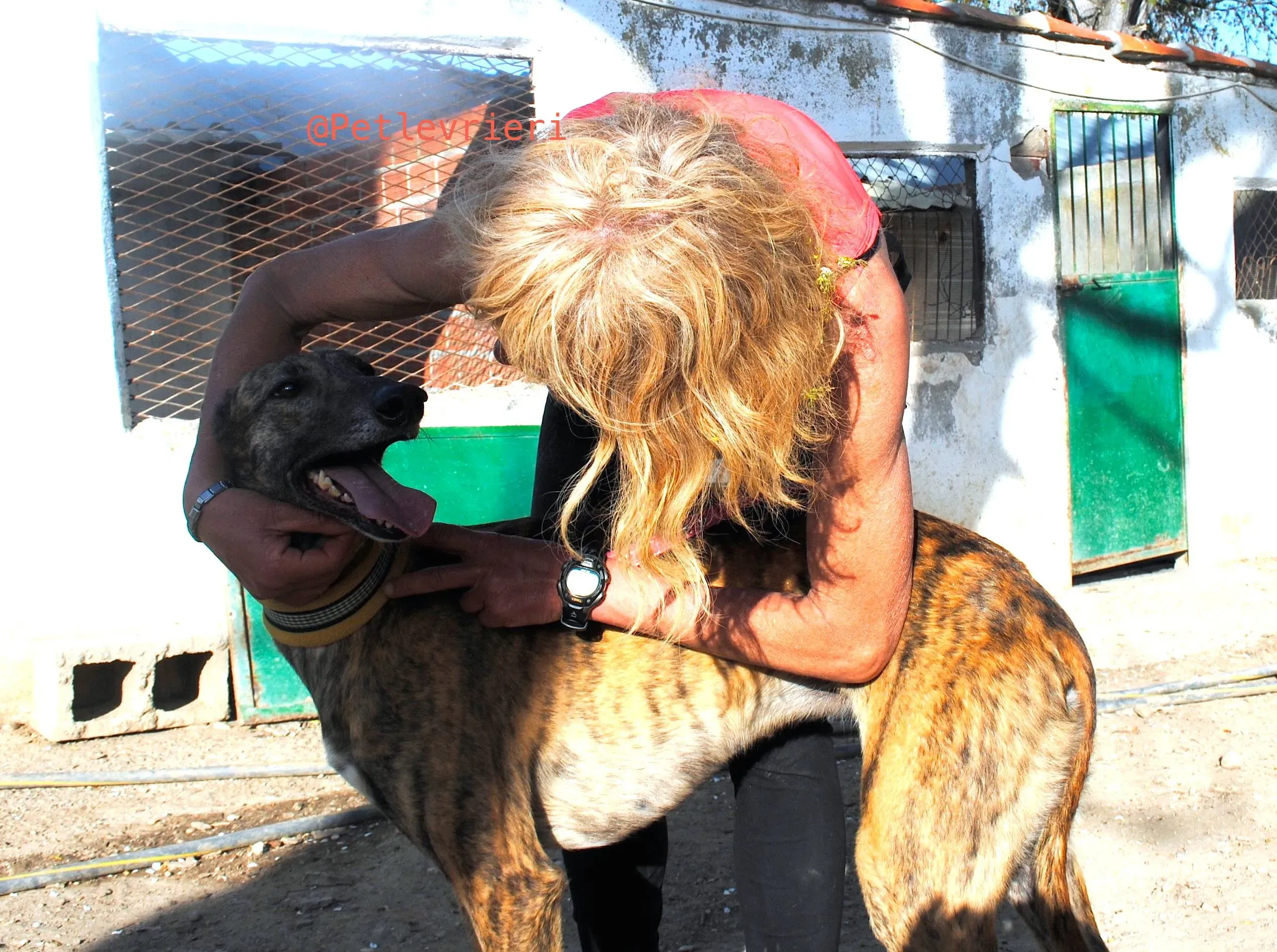 34340926 1859196150799077 3882702950149128192 n