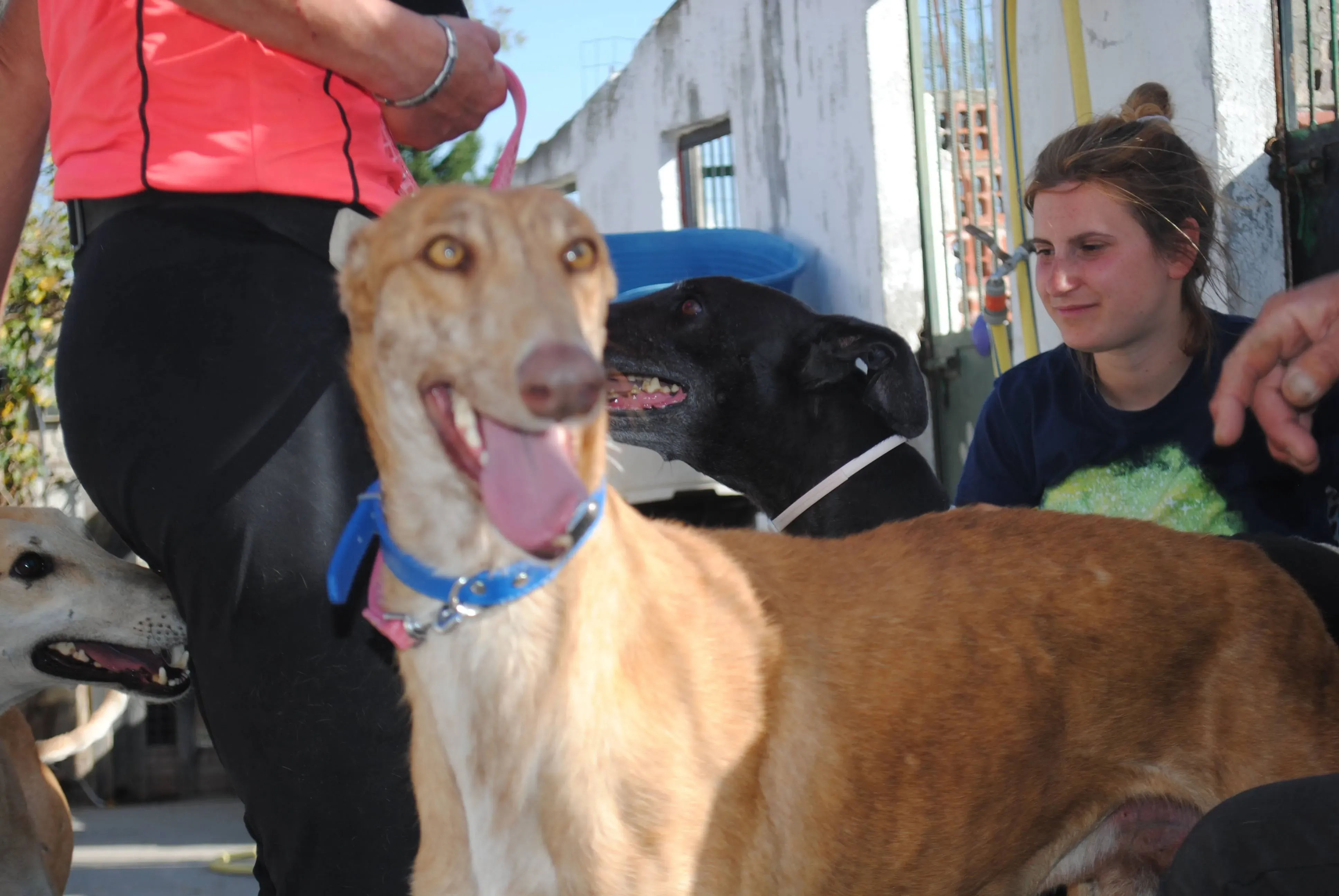 34364551 1859200210798671 5107038087167344640 n 1