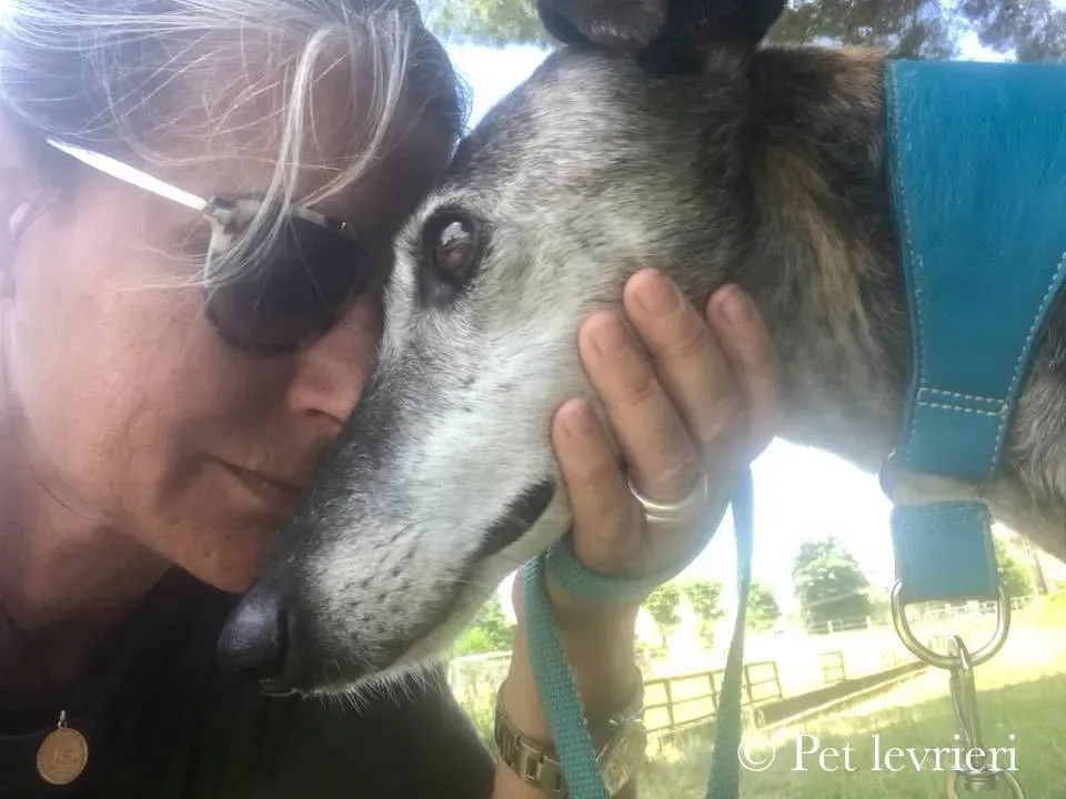 34743698 1864172873634738 8724660375976411136 n