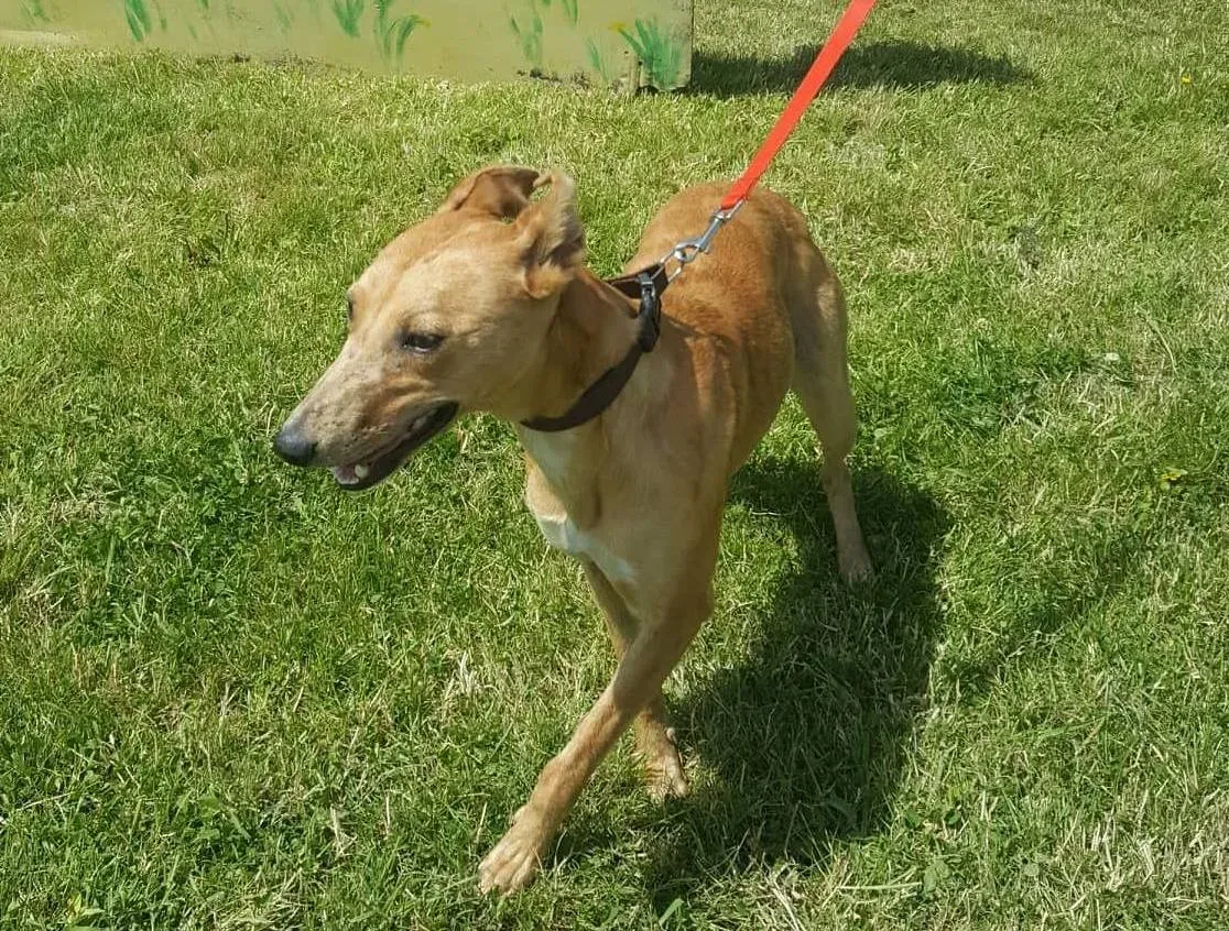 35162092 1702147286535859 3973689397068431360 n