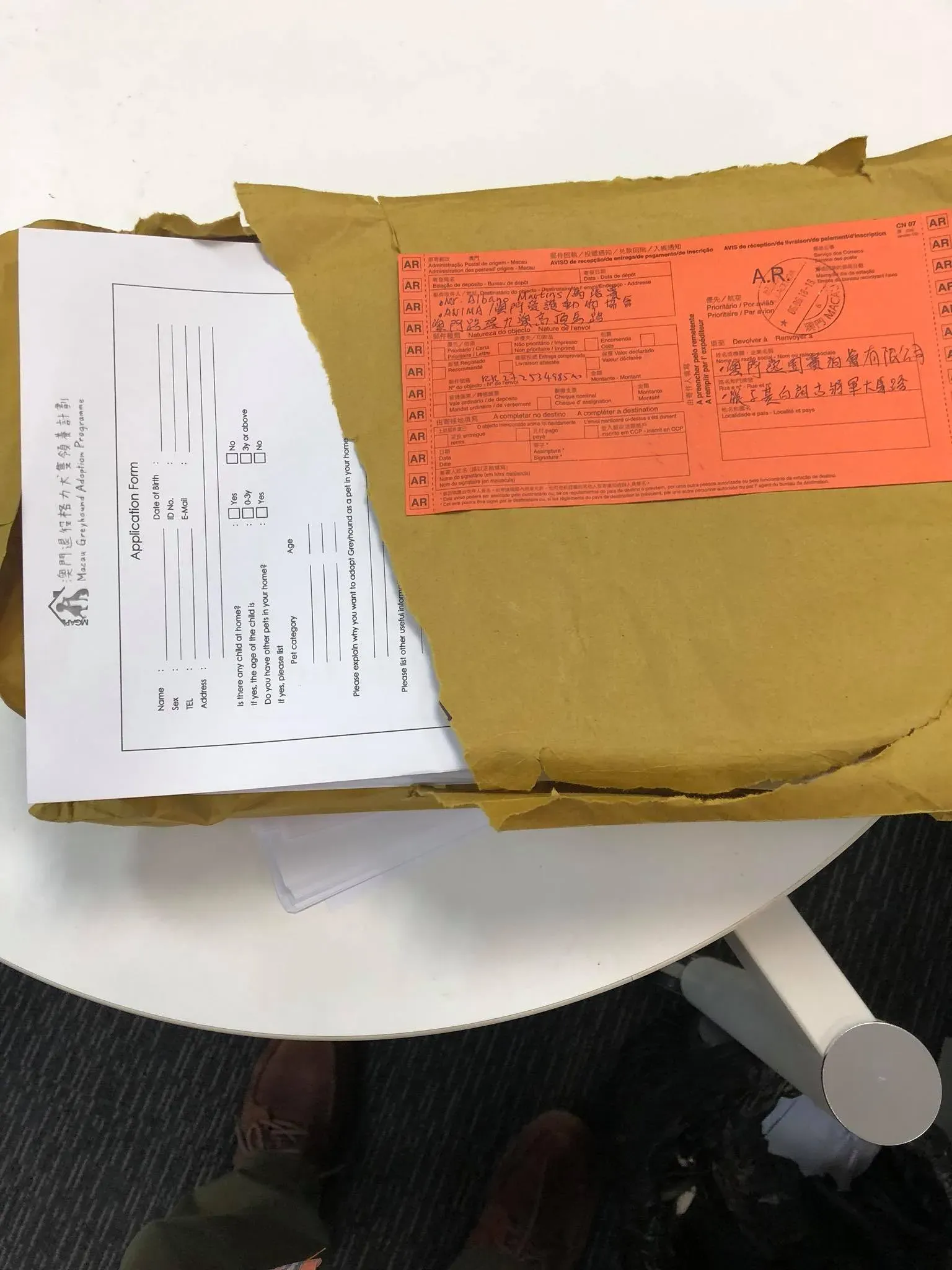 35647294 1588755954592428 4995104646658785280 o