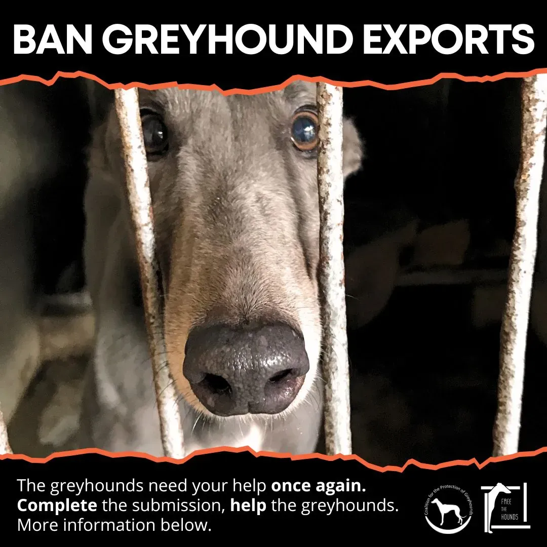 356871027 318300547197733 7068337474616548978 n