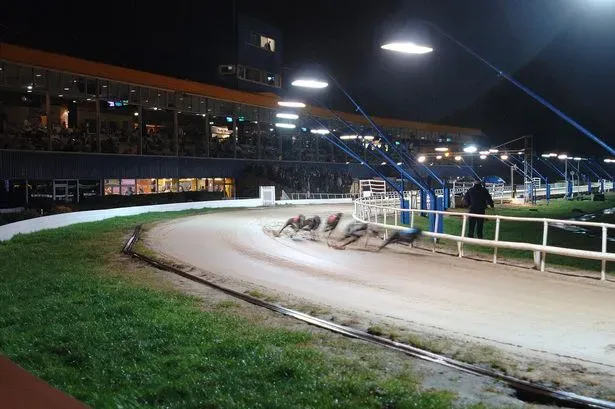 3580402 bp2323203 jpg nopRef