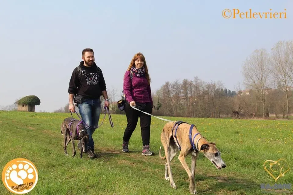 35987169 1815768398514755 1534291781330403328 n