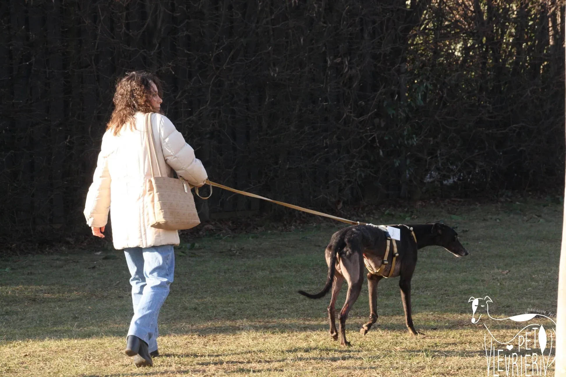 35A5580B 0F6A 4347 B1BE 996DCAC371C2