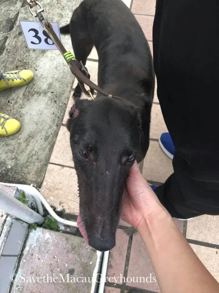 36087402 10156635619681995 4237740971359469568 n